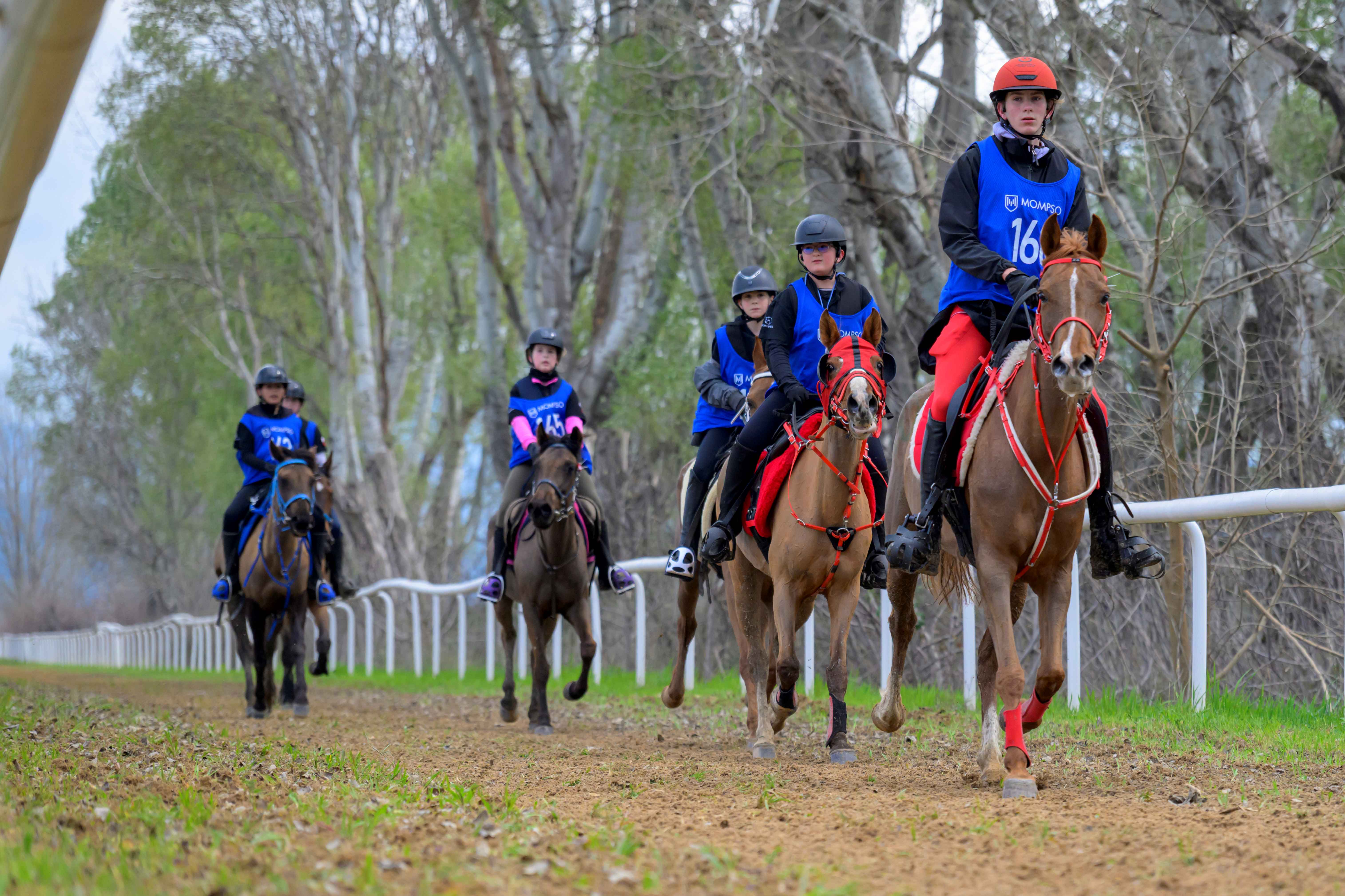 Κύπελλο & Διεθνείς ΙΑ Ορχομενός 
